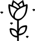 landing_icono5