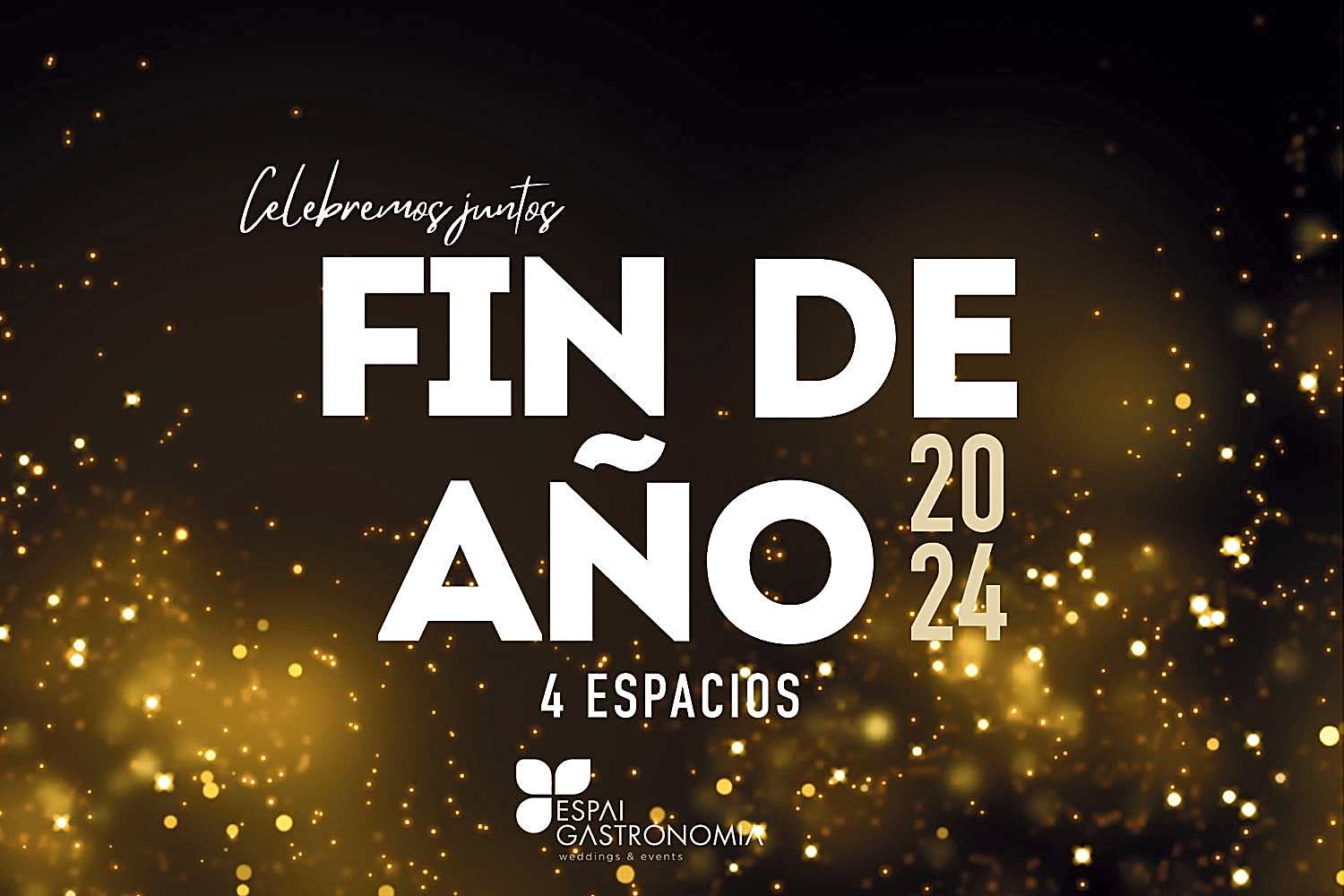 4 propuestas Fin de año 2024