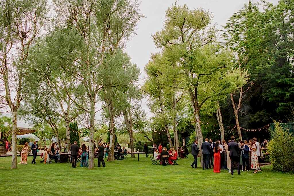 Coctel boda